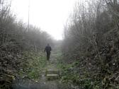  Wanderweg bergan zum Schloss Tillysburg 