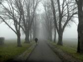  Wanderroute durch die schne Schlossallee 