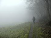  Wanderweg entlang des Eichbergs 
