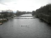  Blick auf die Traisen flussaufwärts 