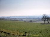  schöner Fernblick nach Blindenmarkt 