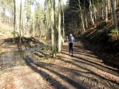  Wanderweg entlang des Blindbachs 