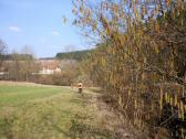  Wanderweg entlang des Weitenbachs 