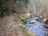  Wanderweg entlang des Weitenbachs 