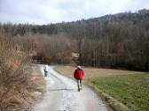  Wanderroute auf schönen Güterwegen 