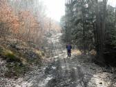  Wanderweg leicht bergan 