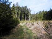  Wanderroute durch die Waldriede Schmalhans 