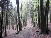  Wanderroute durch die Waldriede Kruckersteig 