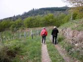 Wanderroute auf schönen Höhenpanoramaweg 