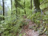  Wanderroute auf dem Welterbesteig Wachau 