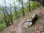  Wanderroute auf dem Welterbesteig Wachau 