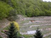  der Blick zurück auf die Wanderstrecke 