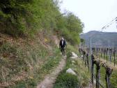  Wanderroute auf dem Panoramaweg Achleiten 