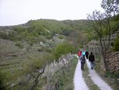 Wanderroute auf dem Panoramaweg Achleiten 