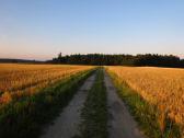  Wanderroute auf dem "Horner Weg" 