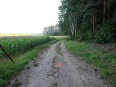  Wanderweg am Waldesrand 