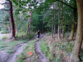  Wanderroute auf schönen Waldwegen 