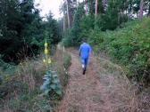  Wanderroute auf schönen Waldwegen 
