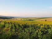  schöner Fernblick 