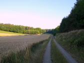  Wanderweg am Waldesrand 