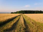  Wanderroute durch die Riede Himmelreich 