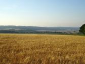 Fernblick nach Breiteneich und in die weite Ferne nach Maria Dreieichen