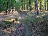  bergan auf den Zeiselberg 