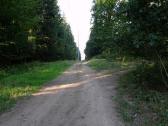  Wanderweg am Zeiselberg 