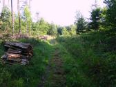  Wanderweg am Steindlberg 