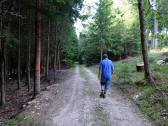  Wanderroute auf schönen Waldwegen 