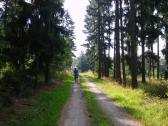  Wanderroute auf schönen Waldwegen 