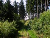  Wanderroute durch die Waldriede "Herrschaftsholz" 