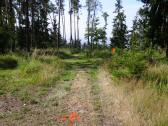  Wanderroute durch die Waldriede "Herrschaftsholz" 