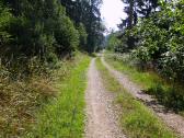  schöner Waldwanderweg am Edelberg 
