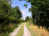  Wanderroute auf schönen Waldwegen 