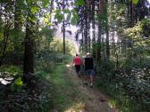  Wanderroute auf schönen Waldwegen 