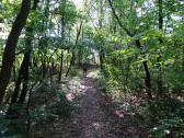  Wanderroute zur großen Labestelle 