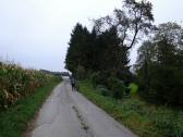 Blick auf die Wanderstrecke in der Nähe von Bubendorf 