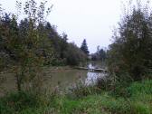  schöner Teich bei Bubendorf 