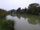  schöner Teich bei Bubendorf 
