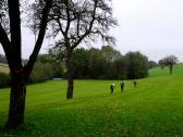  Blick auf den Wanderweg 