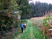  Wanderroute auf den Dirnberg 