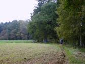  Wanderroute auf den Dirnberg 