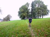  Blick auf den Wanderweg 