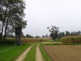  Blick auf die Wanderstrecke 