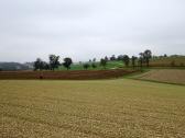  Blick auf die Wanderstrecke 