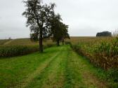  Blick auf die Wanderstrecke 
