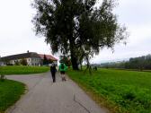  Blick auf die Wanderstrecke nach Brandstetten 