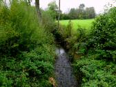  Blick auf den Nennersdorfer-Bach 