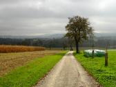  Blick auf die Wanderstrecke 